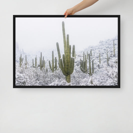 Saguaro Snowfall by Sean Parker Photography | Framed canvas