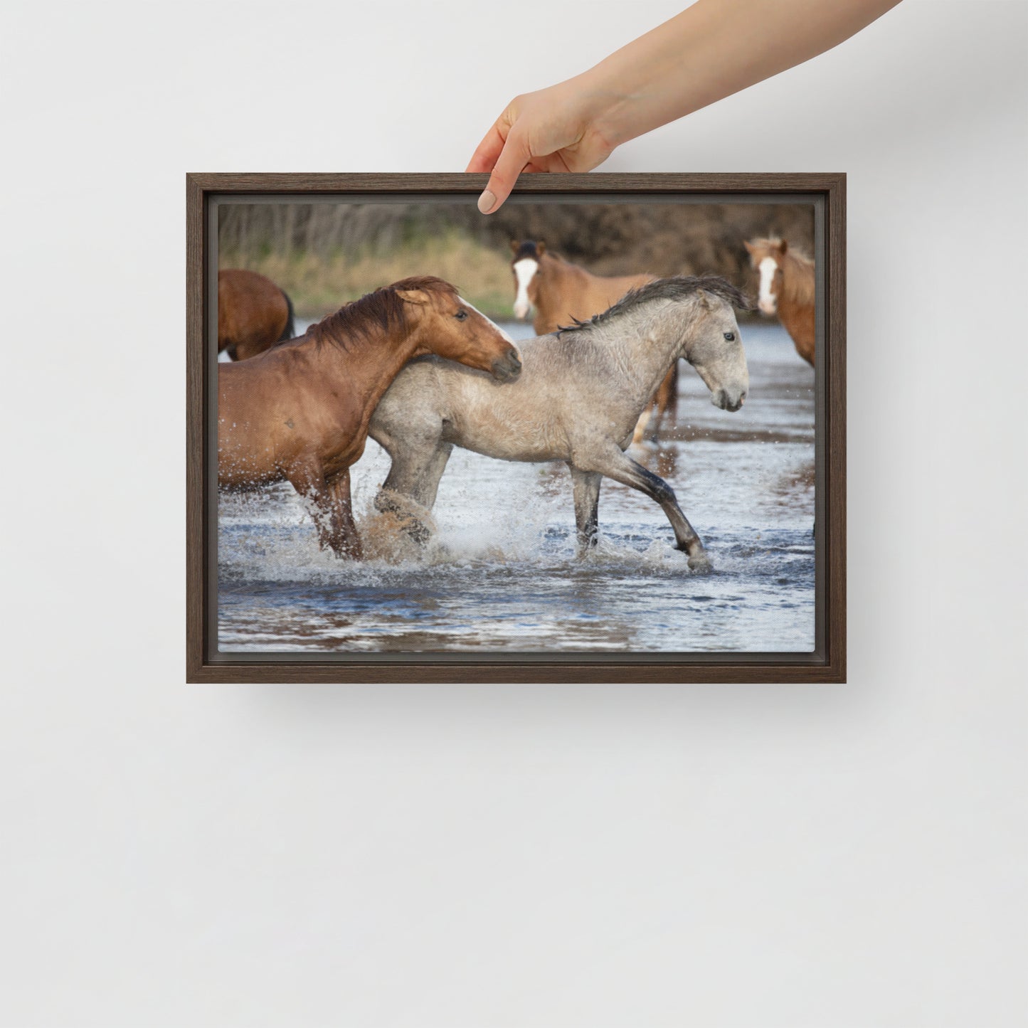 Wild Mustangs by Leslie Leathers Photography | Framed canvas