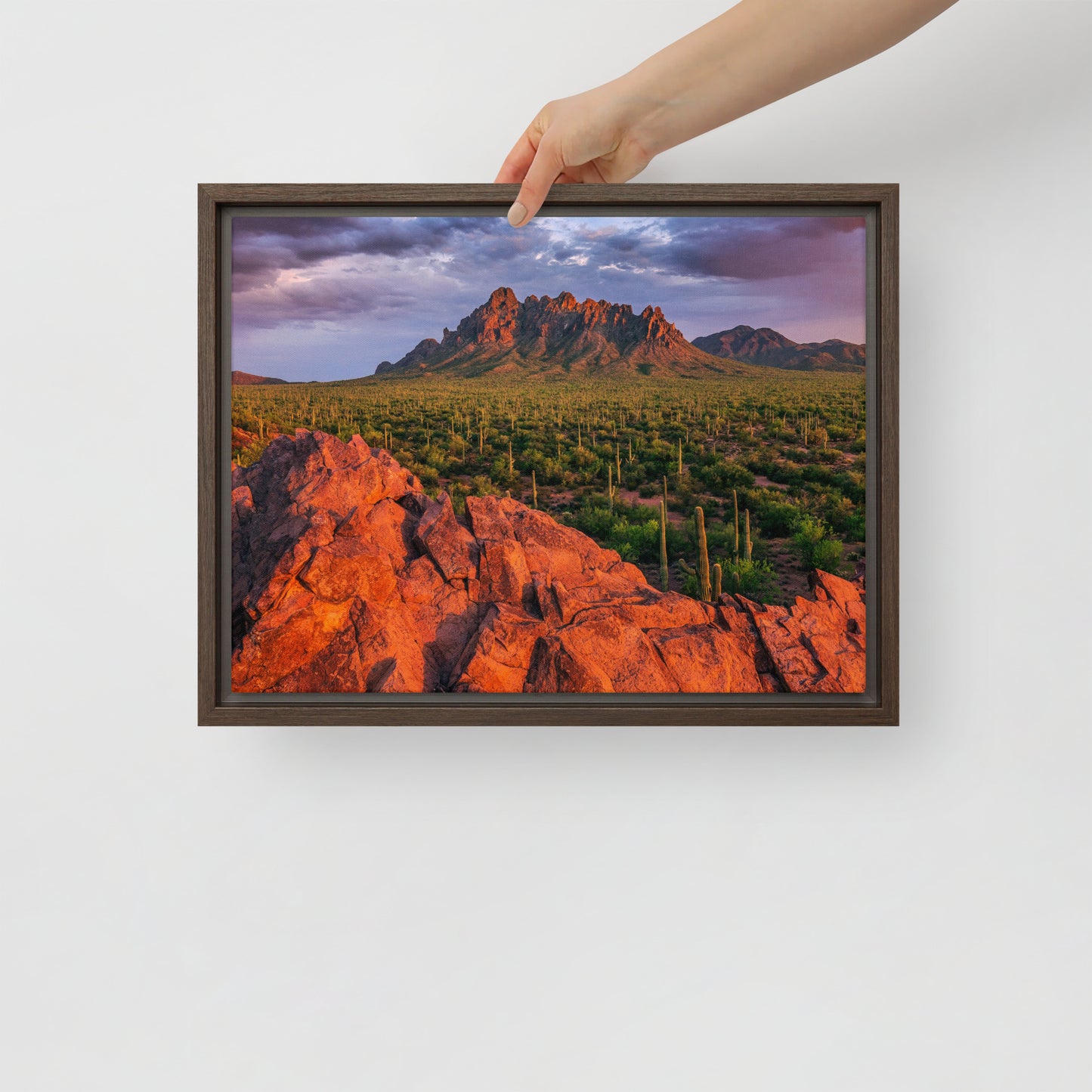 Ironwood National Monument by Sean Parker Photography | Framed canvas