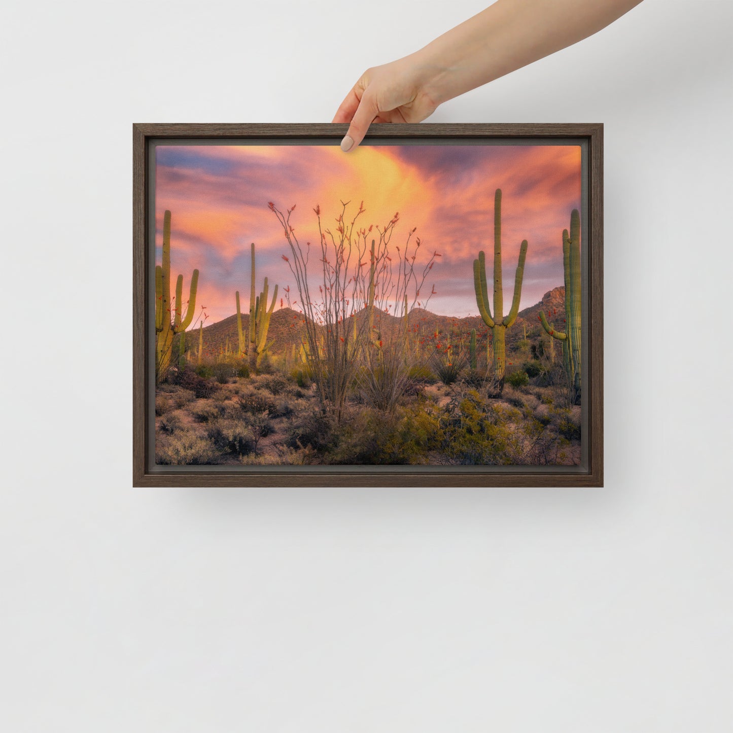 Tucson Mountain Park Sunset by Sean Parker Photography | Framed canvas