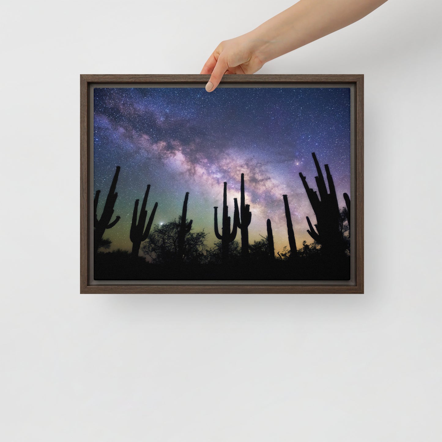 Saguaro Starlight by Sean Parker Photography | Framed canvas