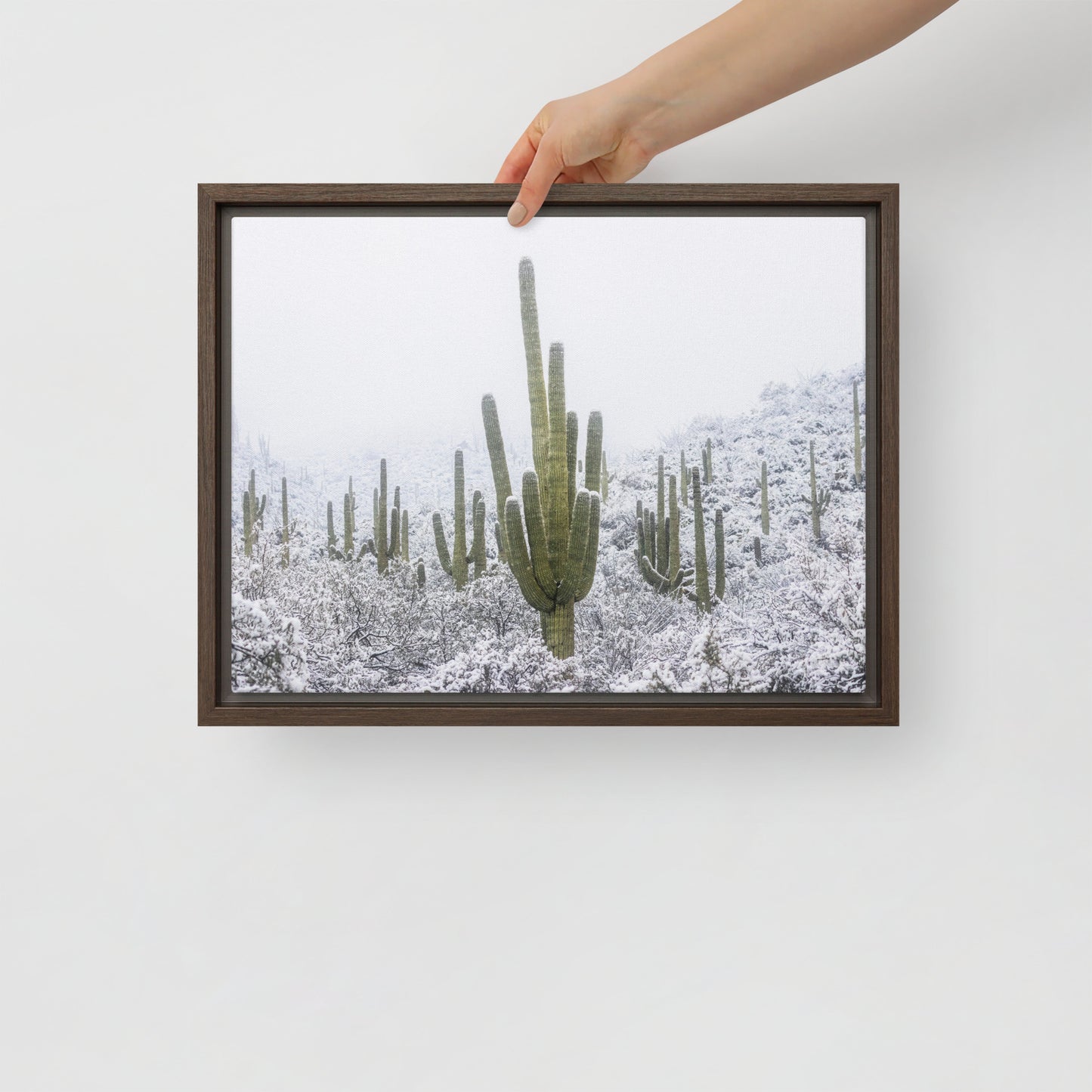 Saguaro Snowfall by Sean Parker Photography | Framed canvas