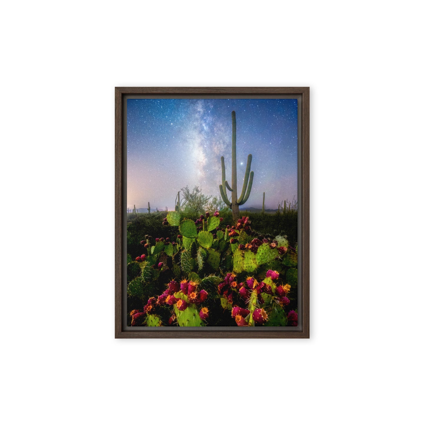 Milky Way Prickly Pear by Sean Parker Photography | Framed canvas