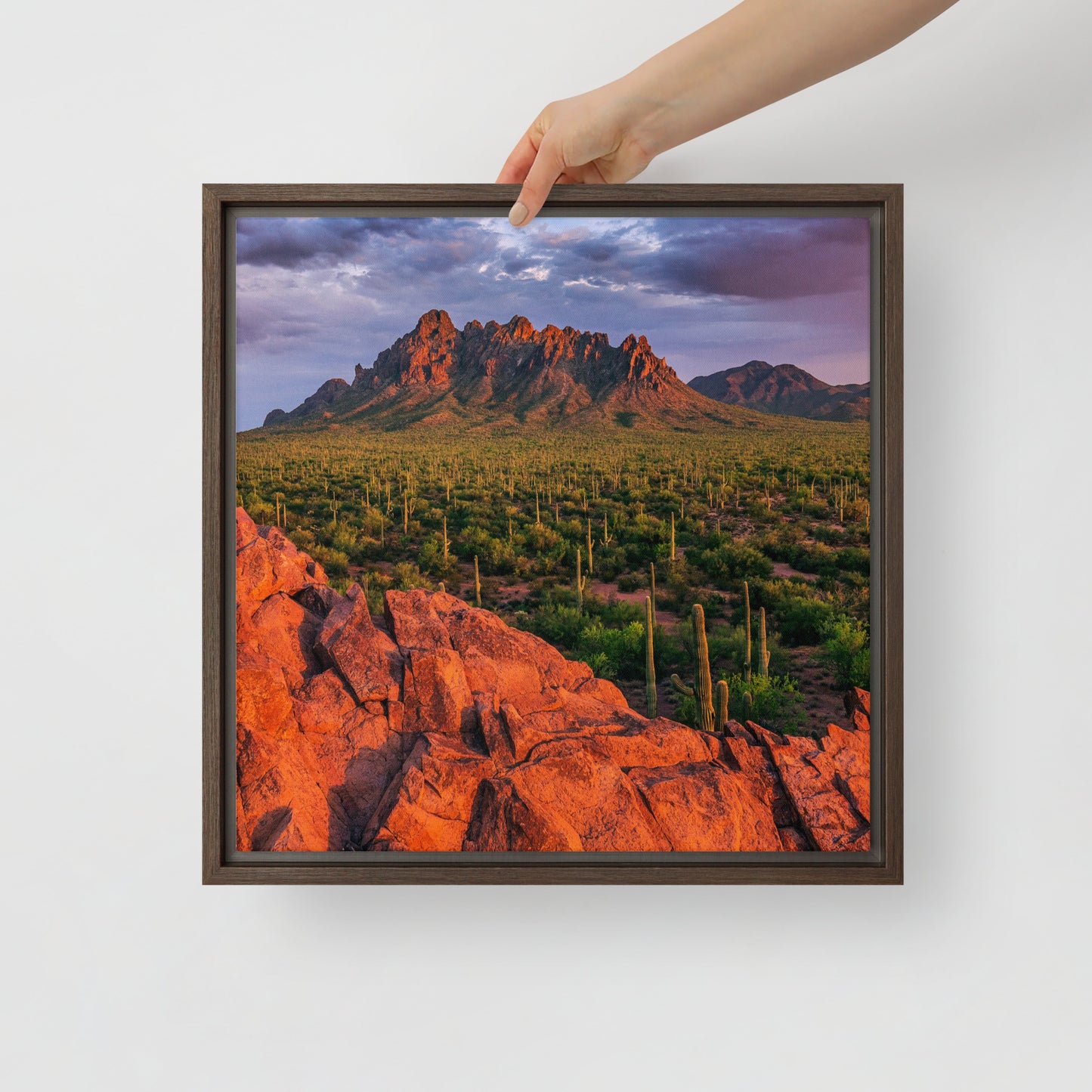 Ironwood National Monument by Sean Parker Photography | Framed canvas