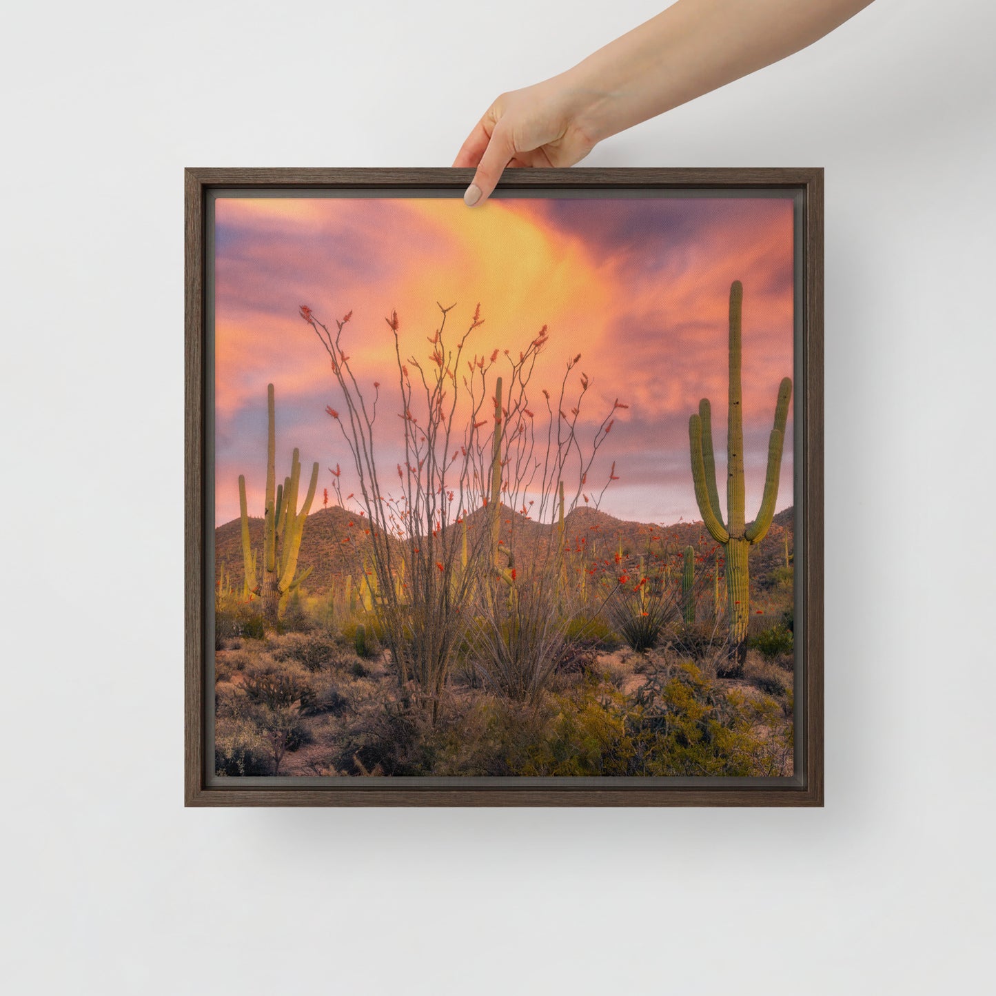 Tucson Mountain Park Sunset by Sean Parker Photography | Framed canvas