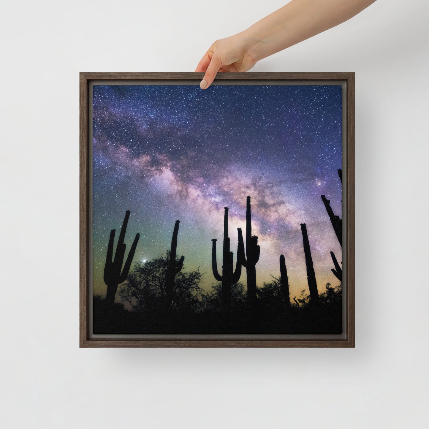 Saguaro Starlight by Sean Parker Photography | Framed canvas