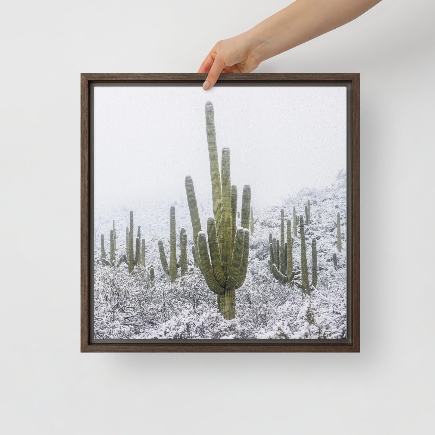 Saguaro Snowfall by Sean Parker Photography | Framed canvas