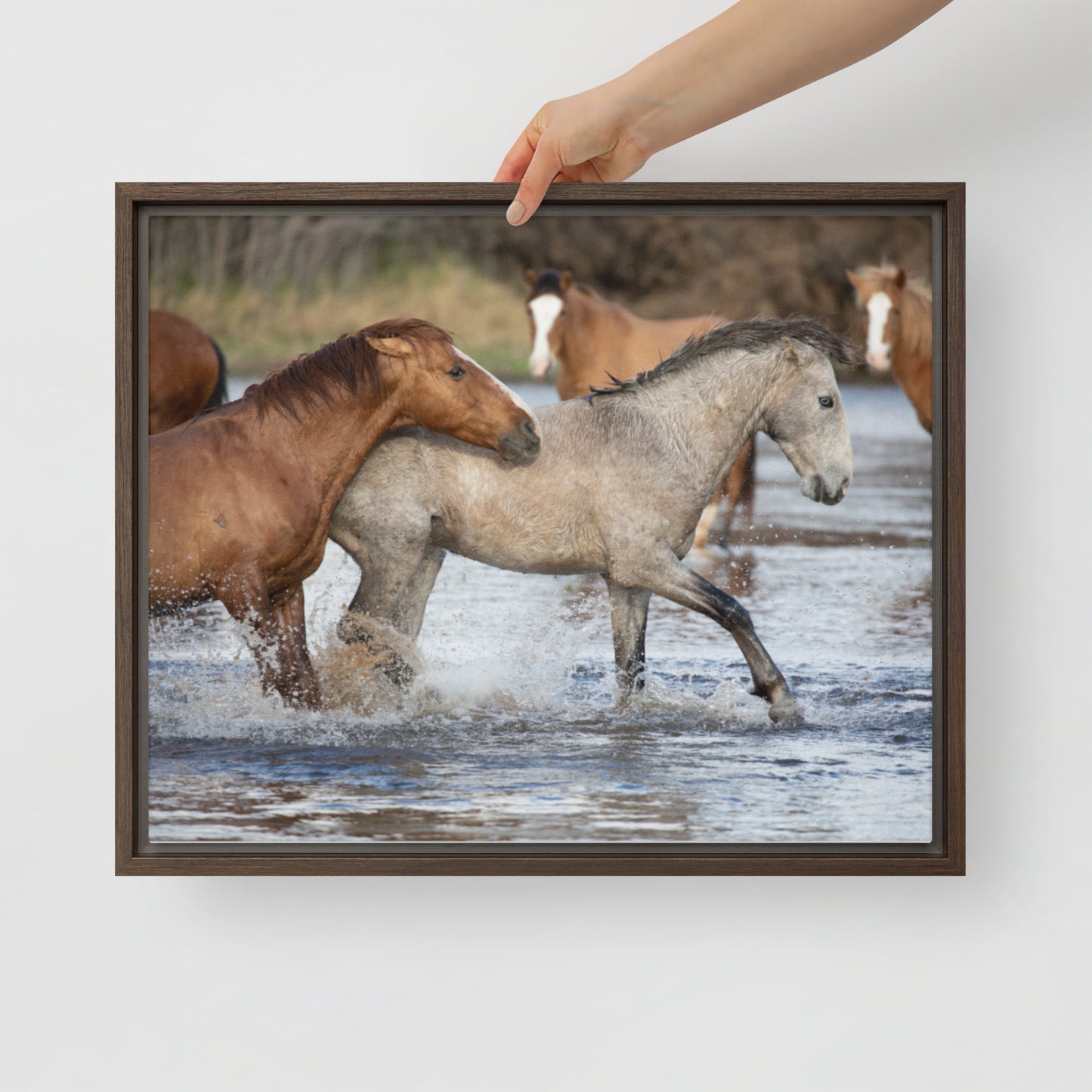 Wild Mustangs by Leslie Leathers Photography | Framed canvas