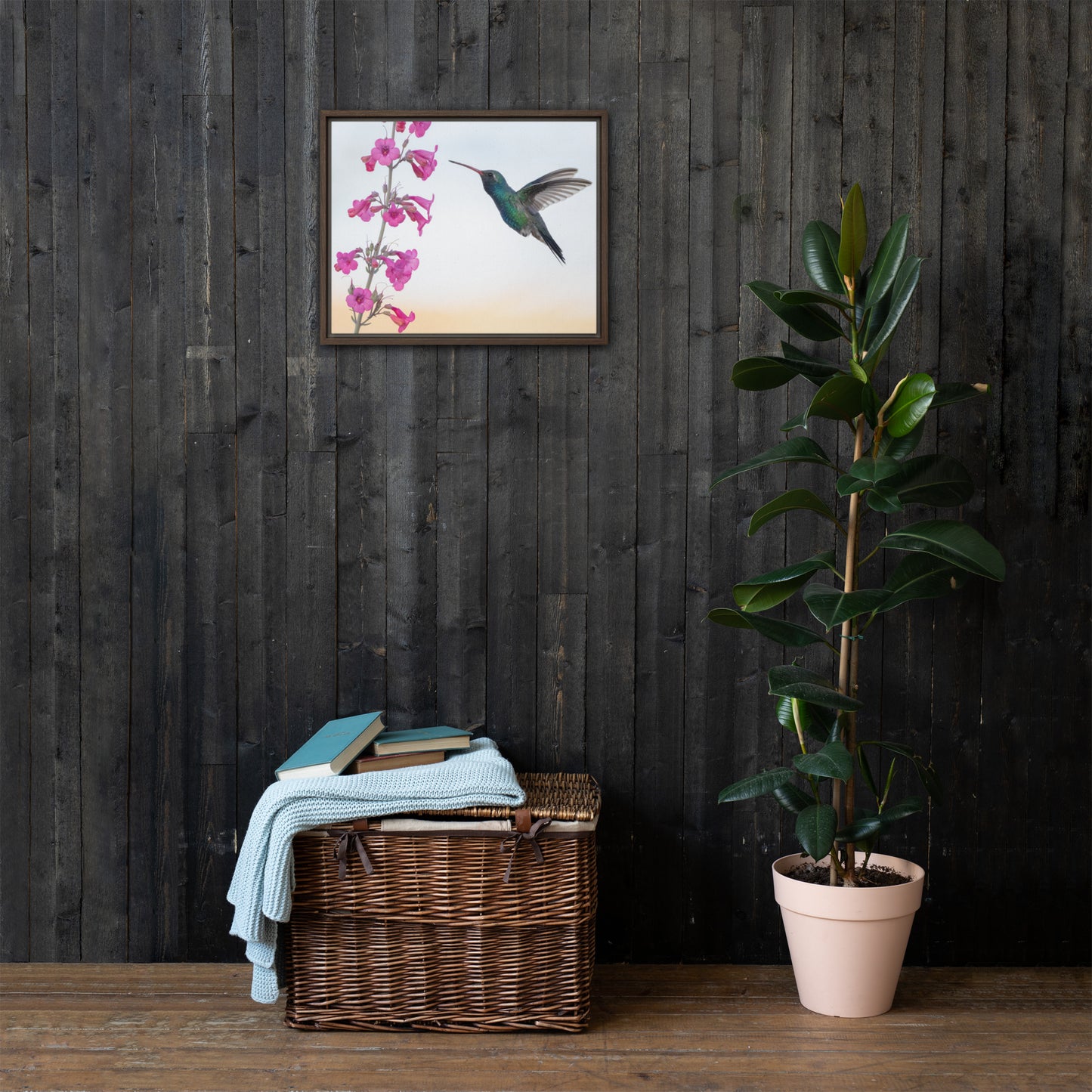 Broad Billed Hummingbird by Leslie Leathers Photography | Framed canvas