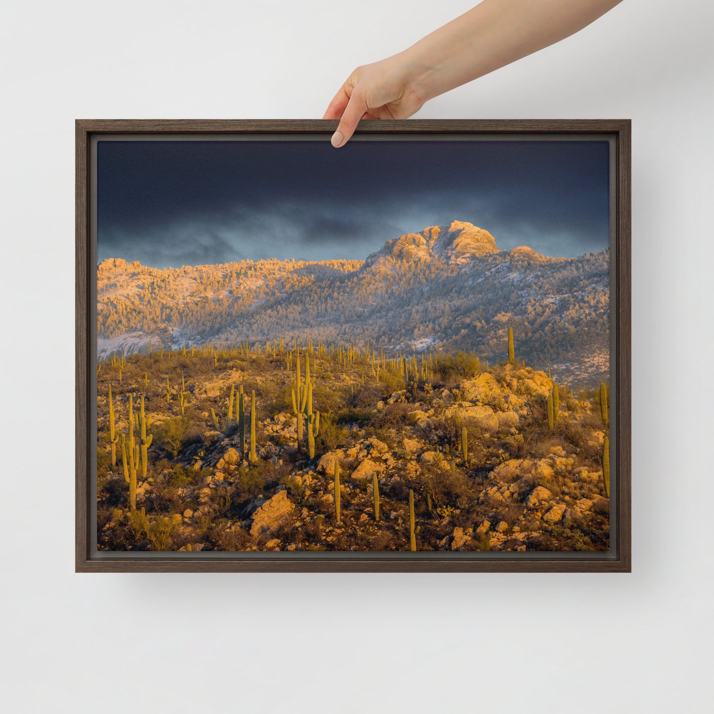 Rincon Mountain Snow by Sean Parker Photography | Framed canvas