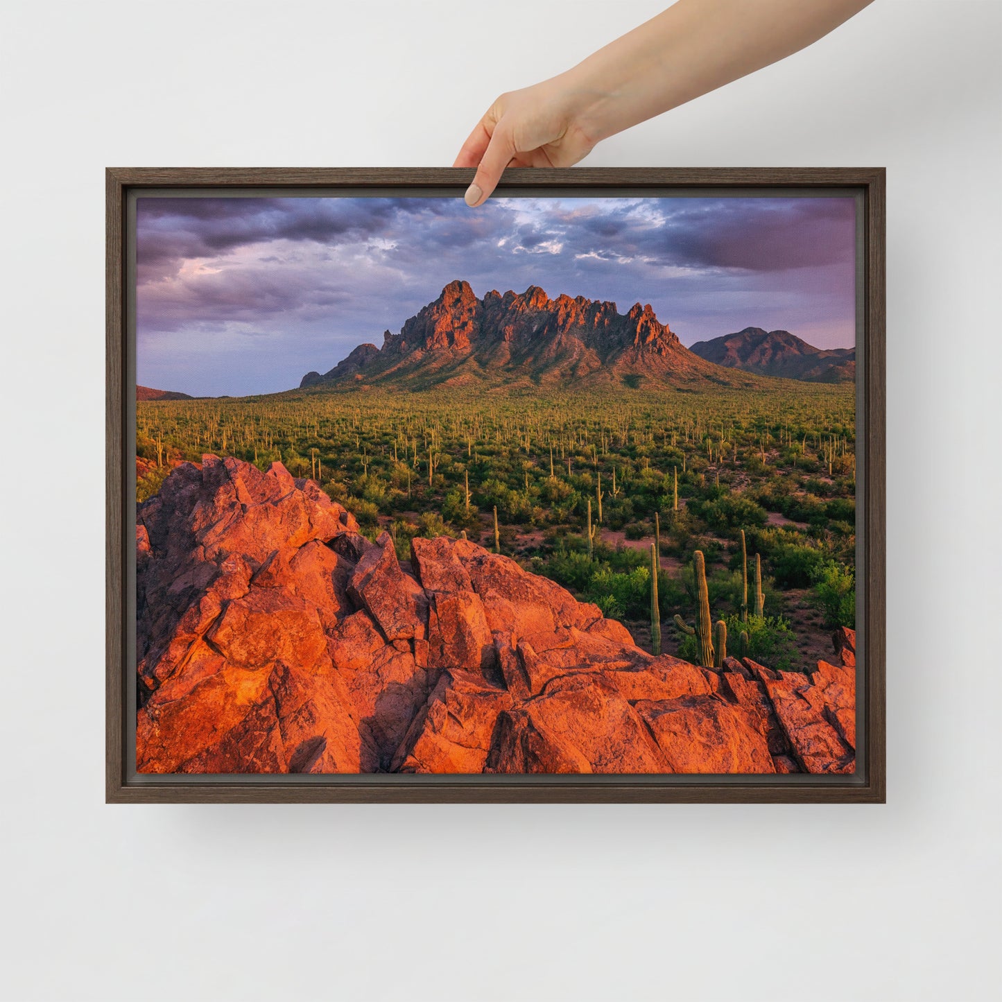 Ironwood National Monument by Sean Parker Photography | Framed canvas