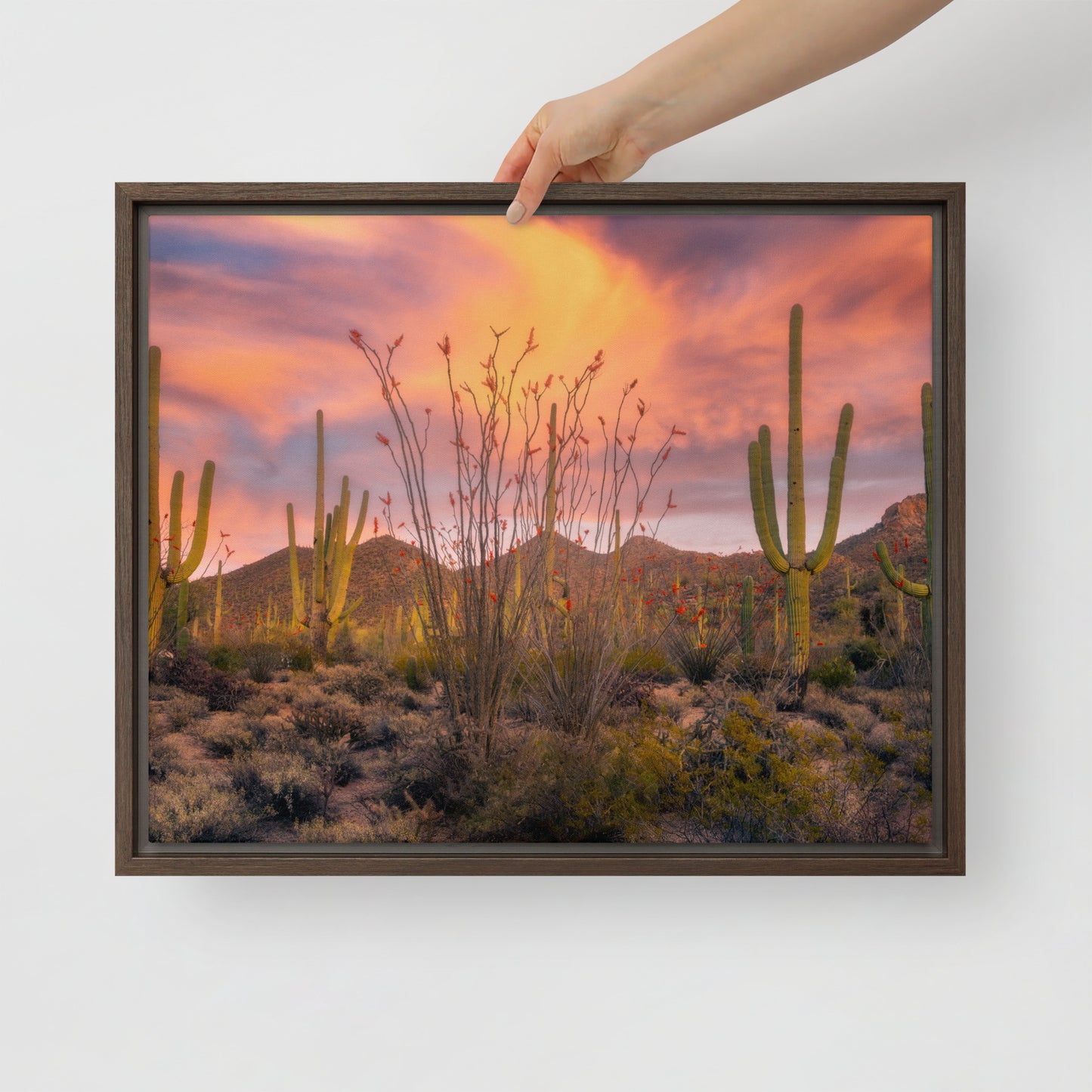 Tucson Mountain Park Sunset by Sean Parker Photography | Framed canvas