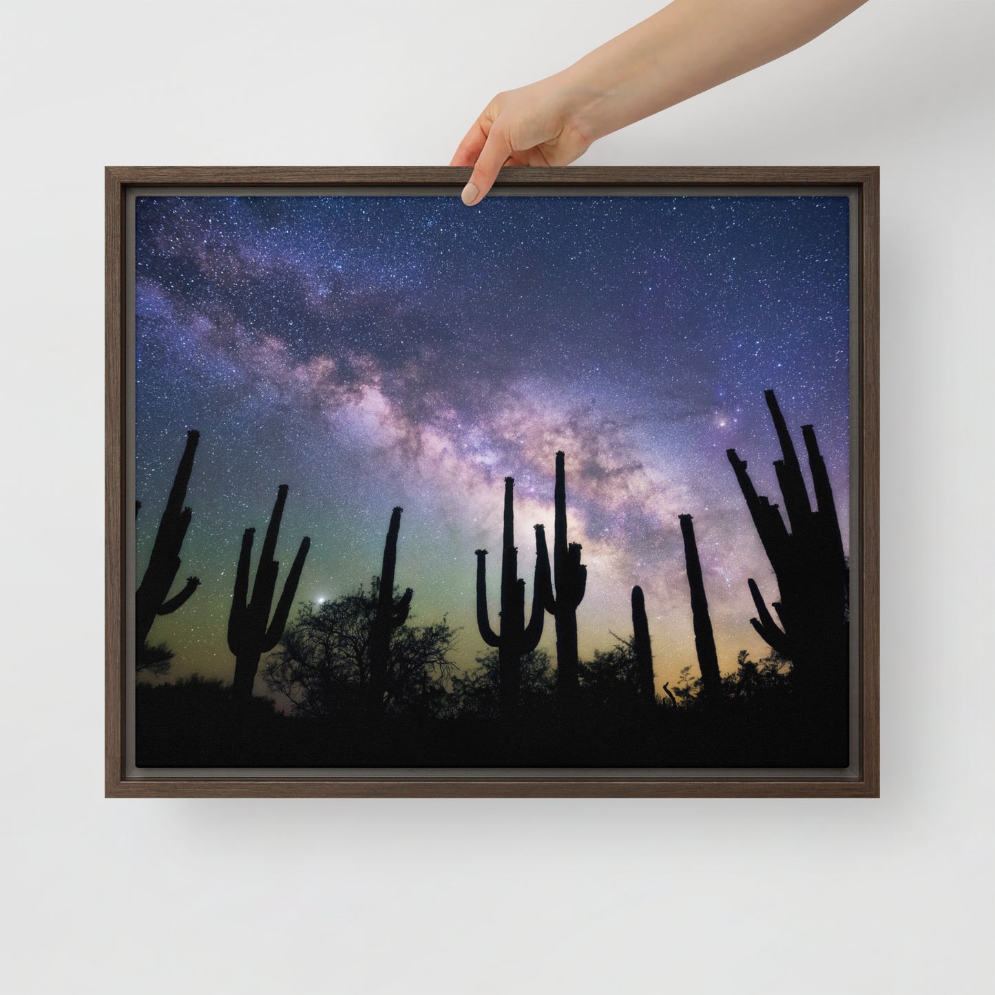 Saguaro Starlight by Sean Parker Photography | Framed canvas