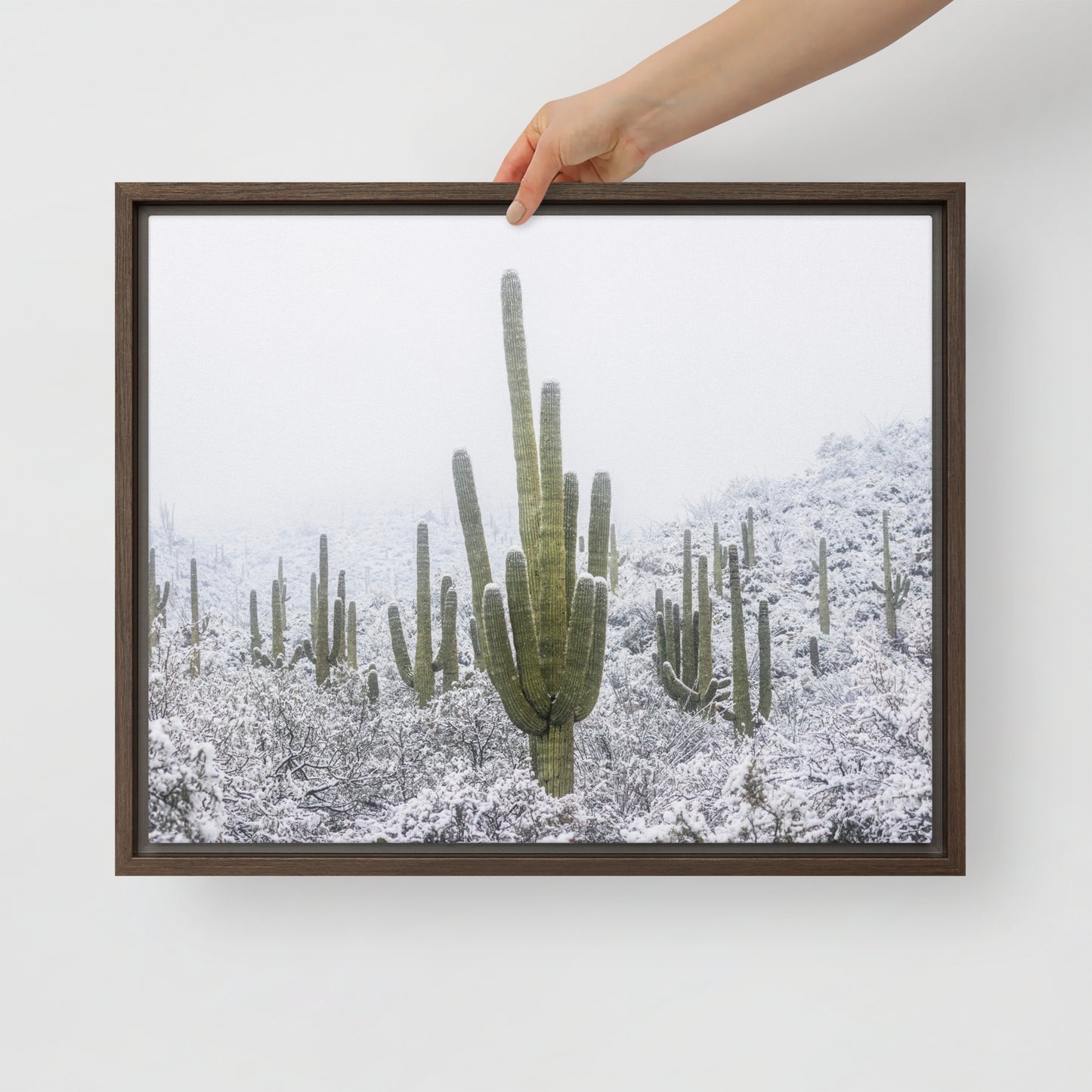 Saguaro Snowfall by Sean Parker Photography | Framed canvas