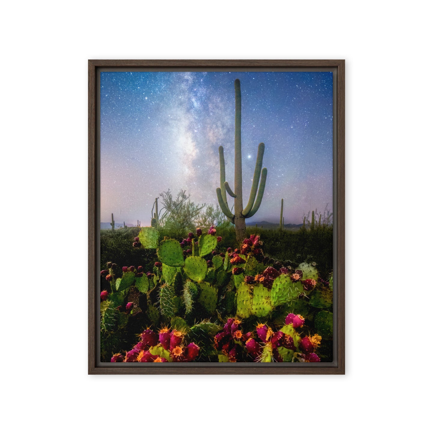 Milky Way Prickly Pear by Sean Parker Photography | Framed canvas