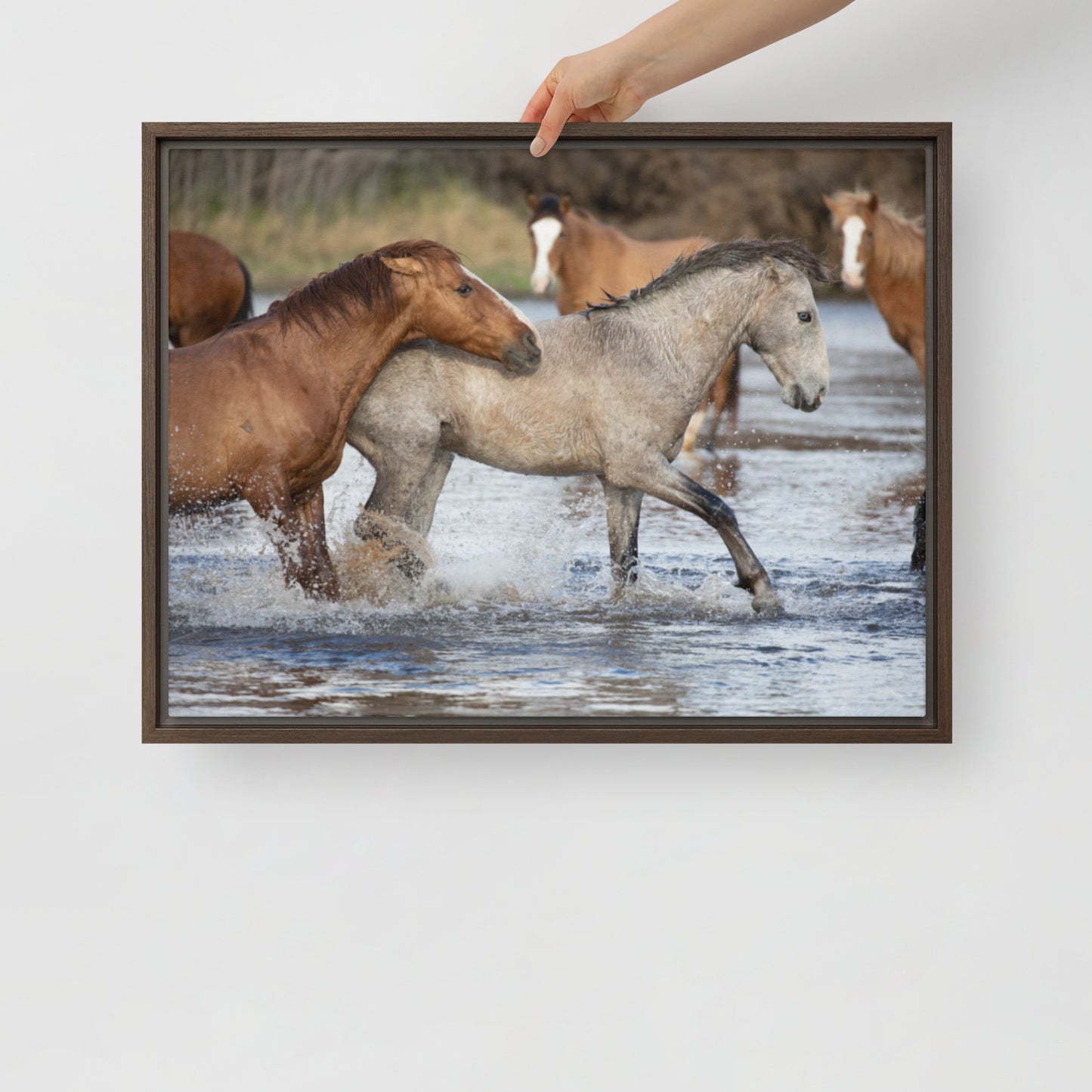 Wild Mustangs by Leslie Leathers Photography | Framed canvas