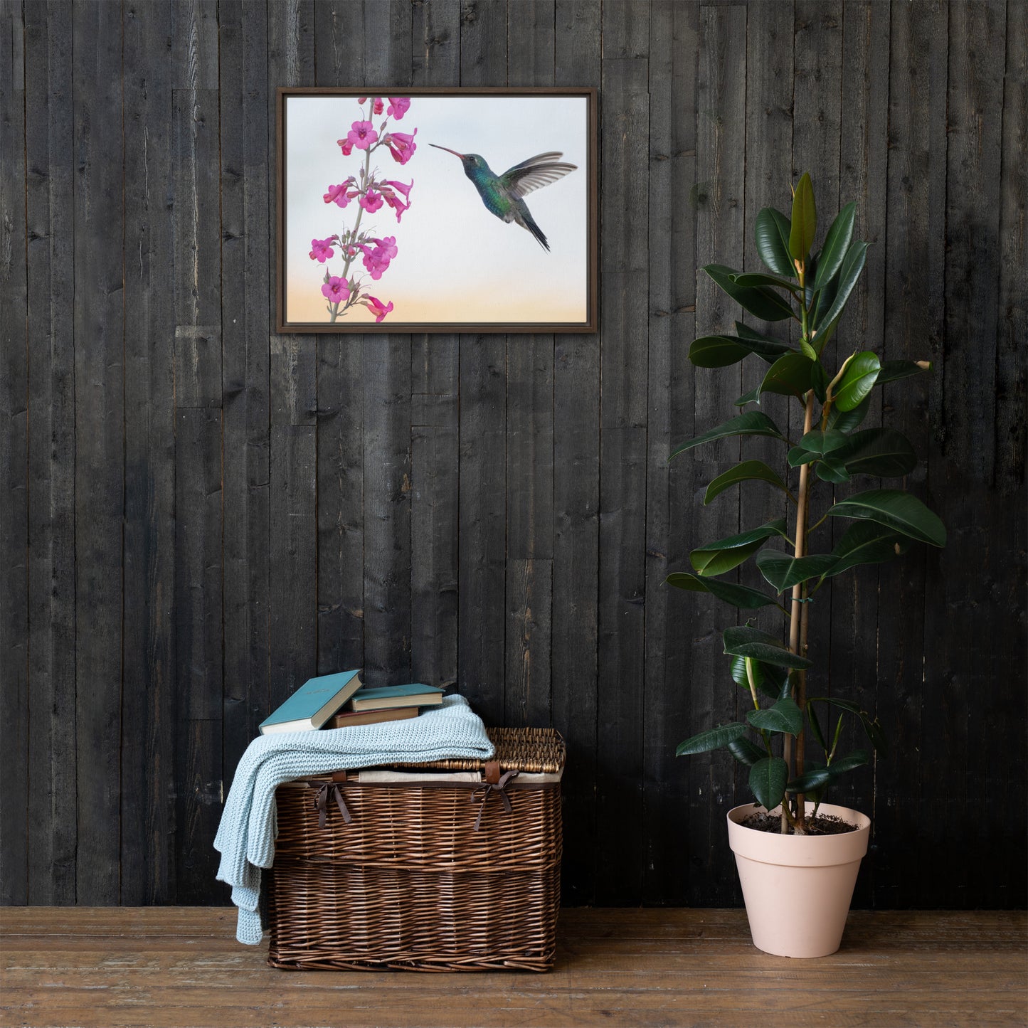 Broad Billed Hummingbird by Leslie Leathers Photography | Framed canvas