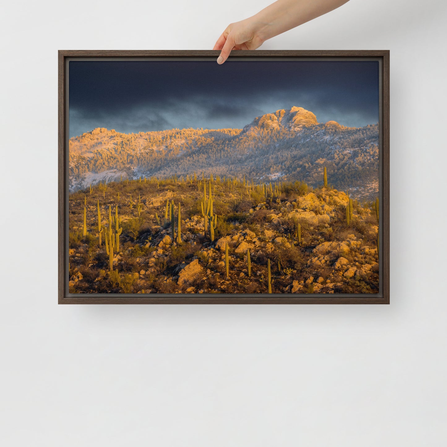 Rincon Mountain Snow by Sean Parker Photography | Framed canvas