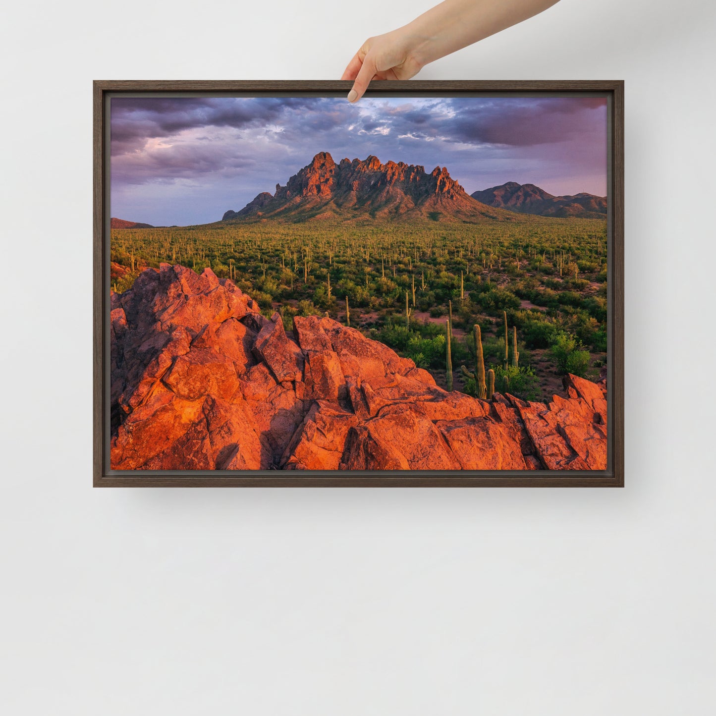 Ironwood National Monument by Sean Parker Photography | Framed canvas