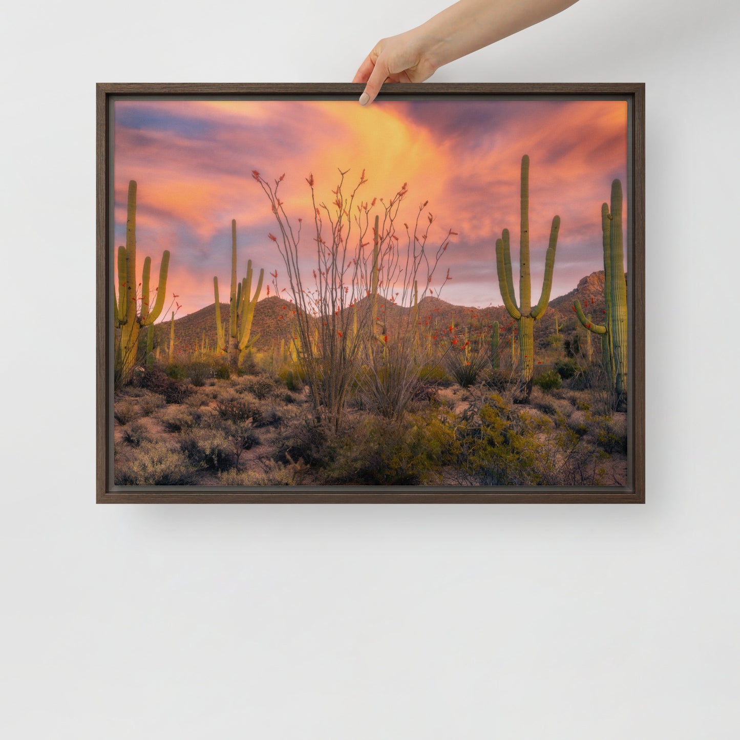 Tucson Mountain Park Sunset by Sean Parker Photography | Framed canvas