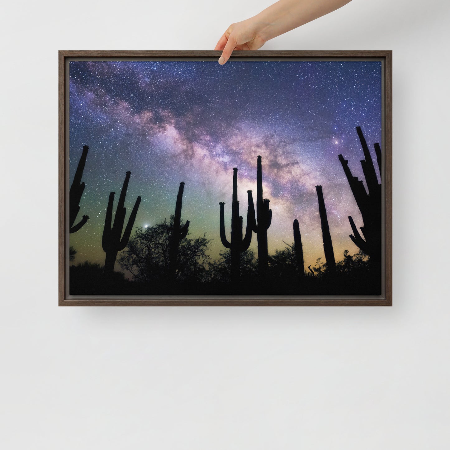 Saguaro Starlight by Sean Parker Photography | Framed canvas