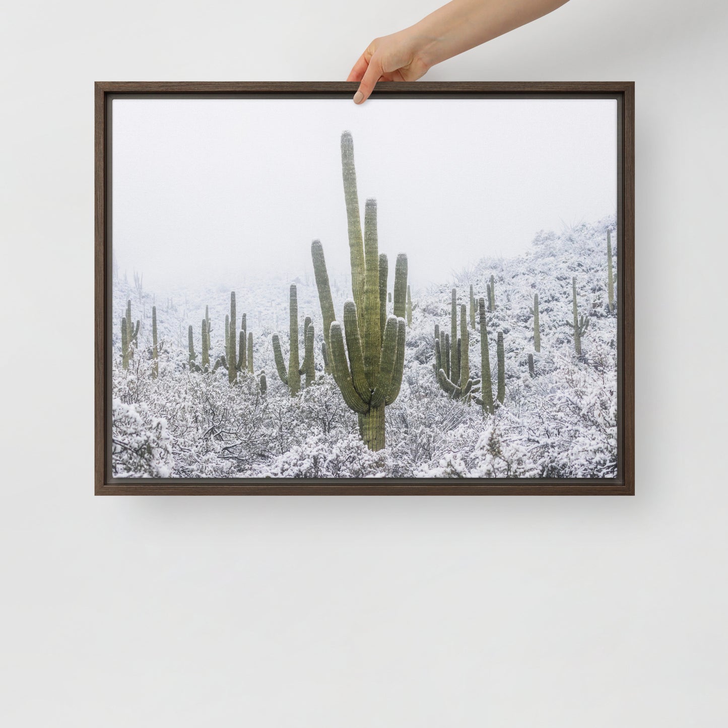 Saguaro Snowfall by Sean Parker Photography | Framed canvas