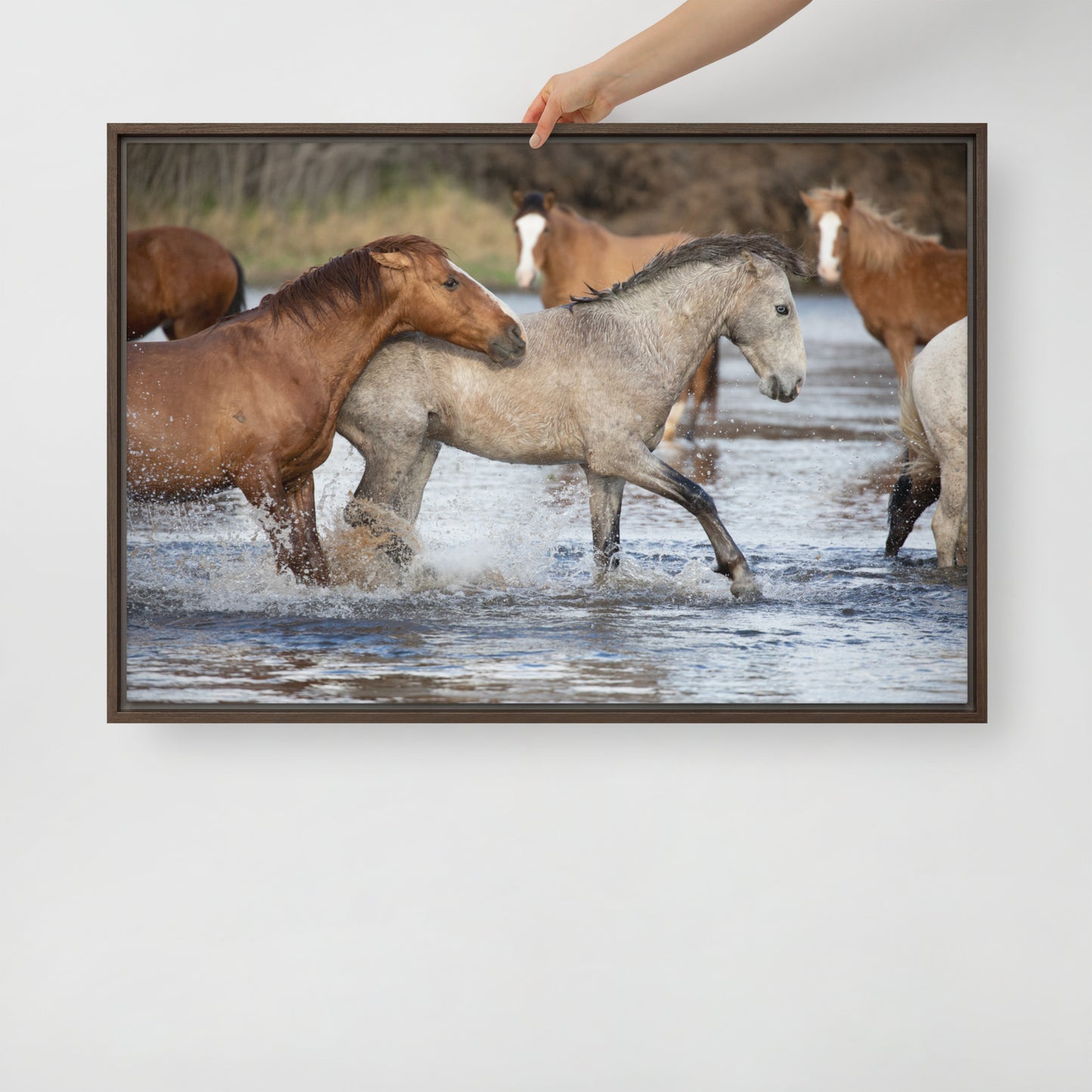 Wild Mustangs by Leslie Leathers Photography | Framed canvas