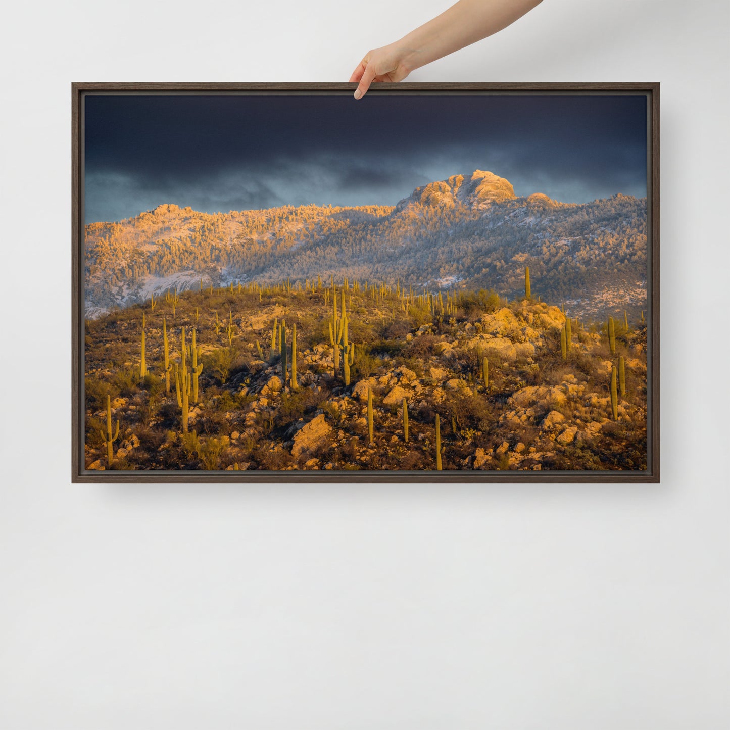 Rincon Mountain Snow by Sean Parker Photography | Framed canvas