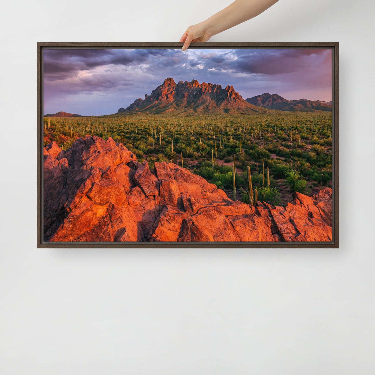 Ironwood National Monument by Sean Parker Photography | Framed canvas