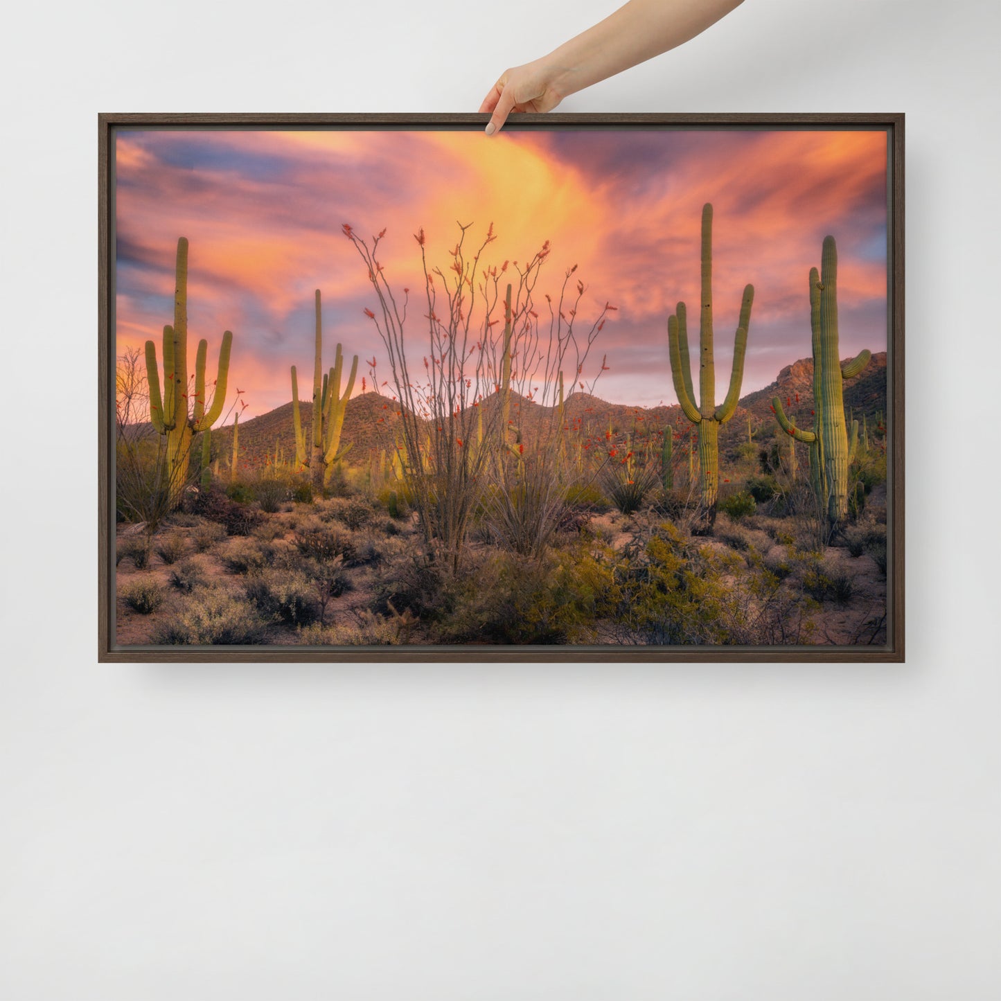 Tucson Mountain Park Sunset by Sean Parker Photography | Framed canvas