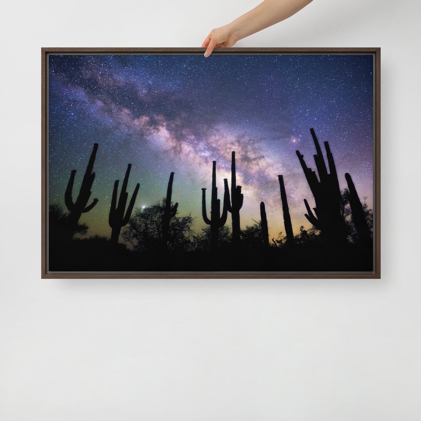 Saguaro Starlight by Sean Parker Photography | Framed canvas