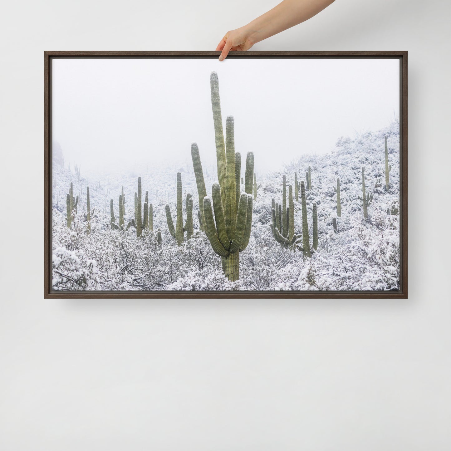 Saguaro Snowfall by Sean Parker Photography | Framed canvas