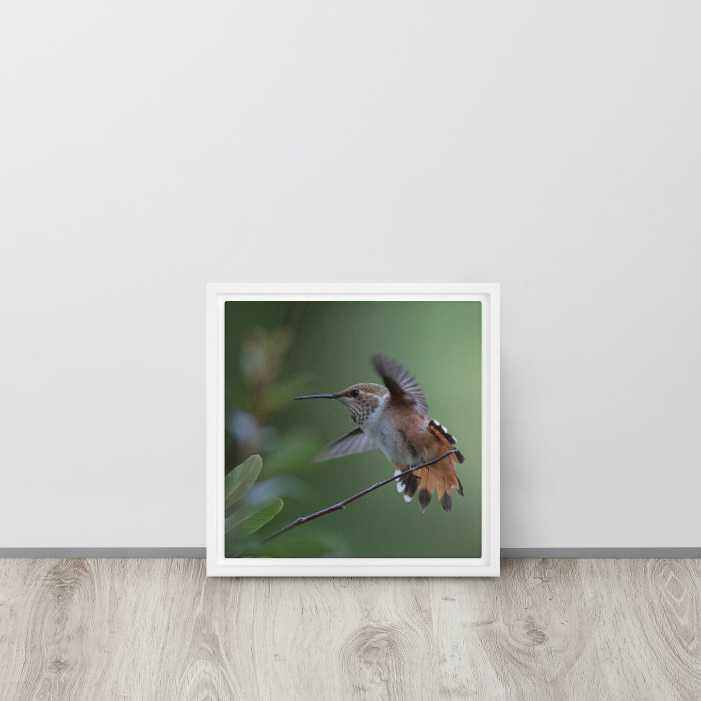 Rufous Hummingbird by Leslie Leathers Photography | Framed canvas