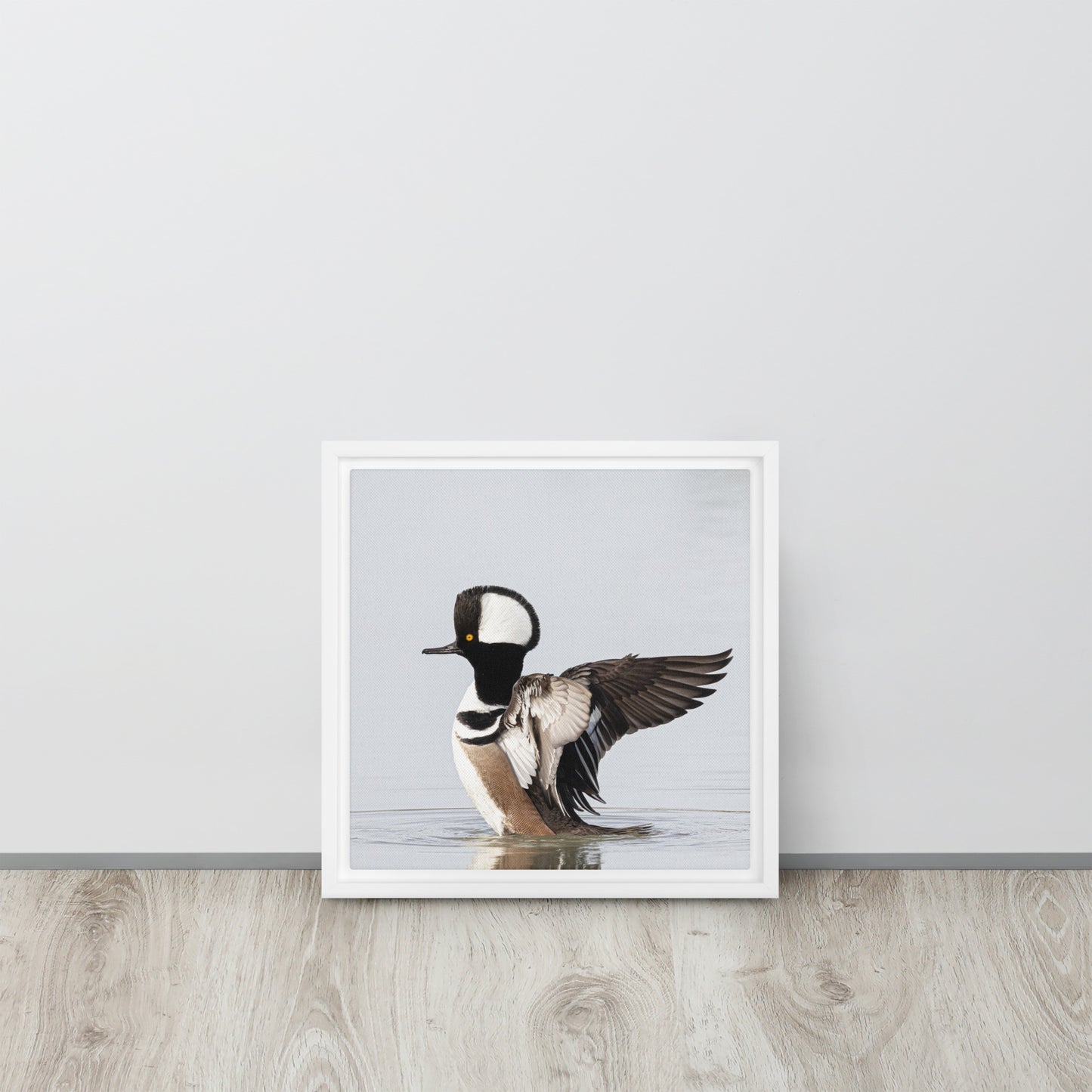 Hooded Merganser by Leslie Leathers Photography | Framed canvas