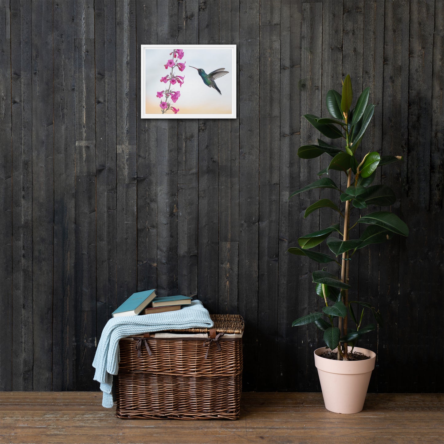 Broad Billed Hummingbird by Leslie Leathers Photography | Framed canvas