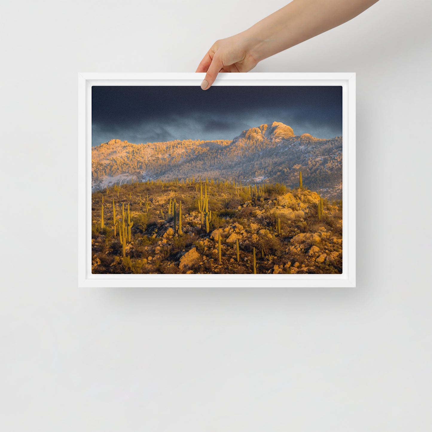 Rincon Mountain Snow by Sean Parker Photography | Framed canvas