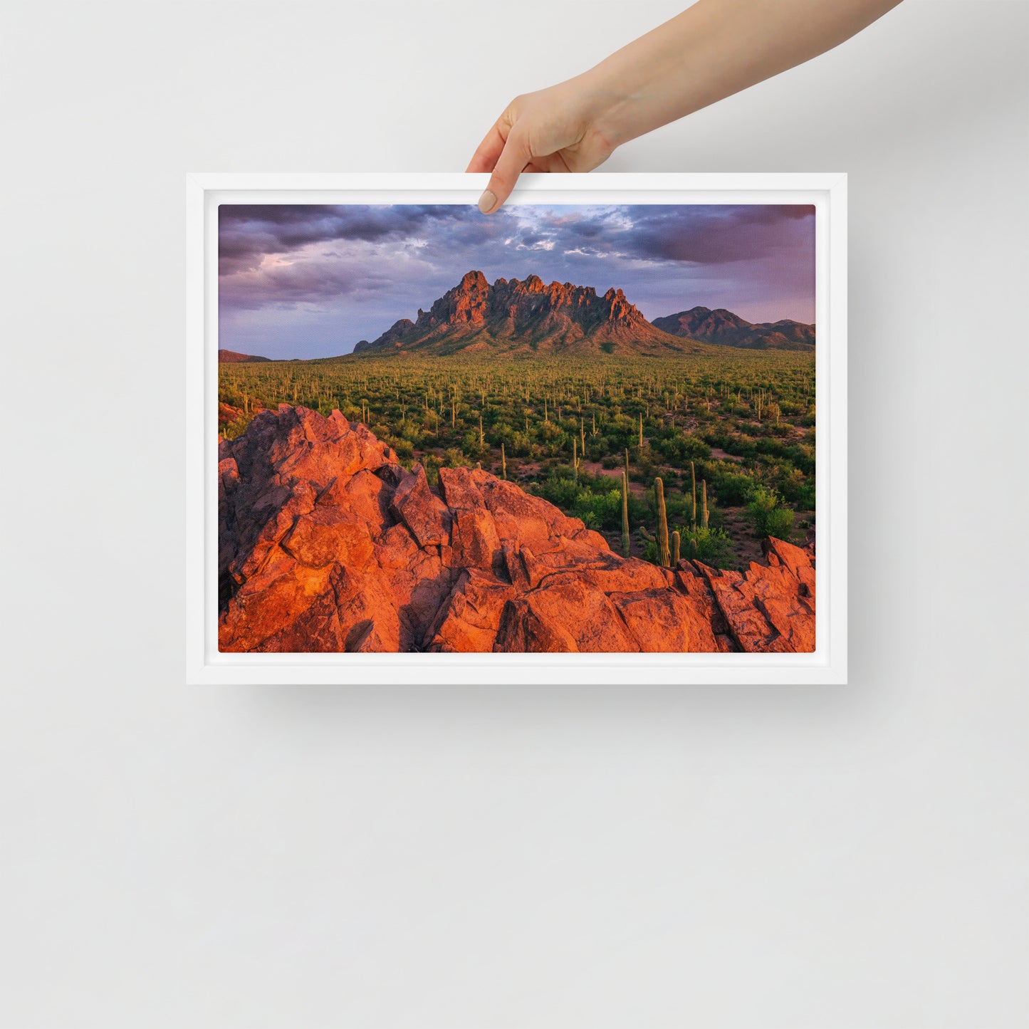 Ironwood National Monument by Sean Parker Photography | Framed canvas