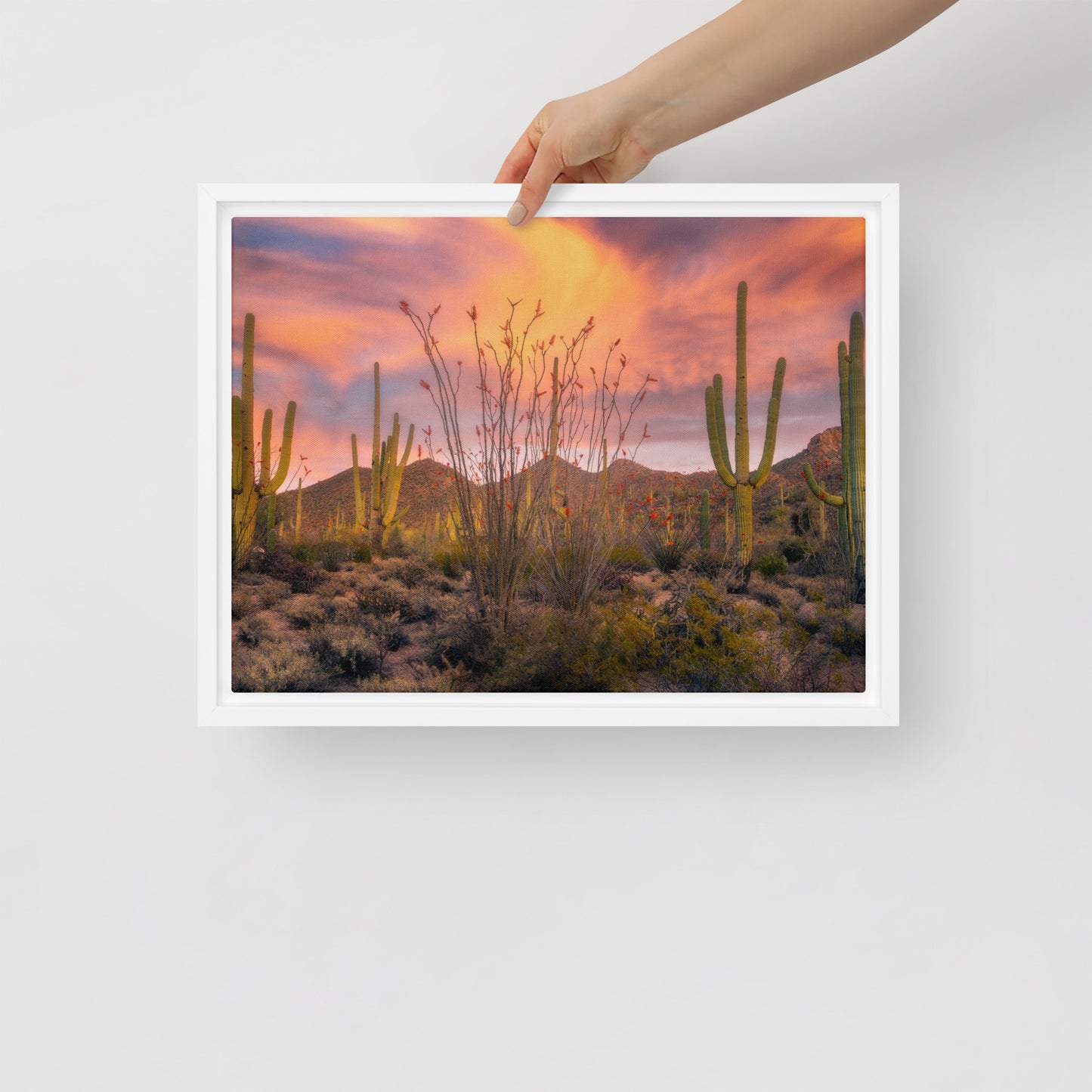 Tucson Mountain Park Sunset by Sean Parker Photography | Framed canvas