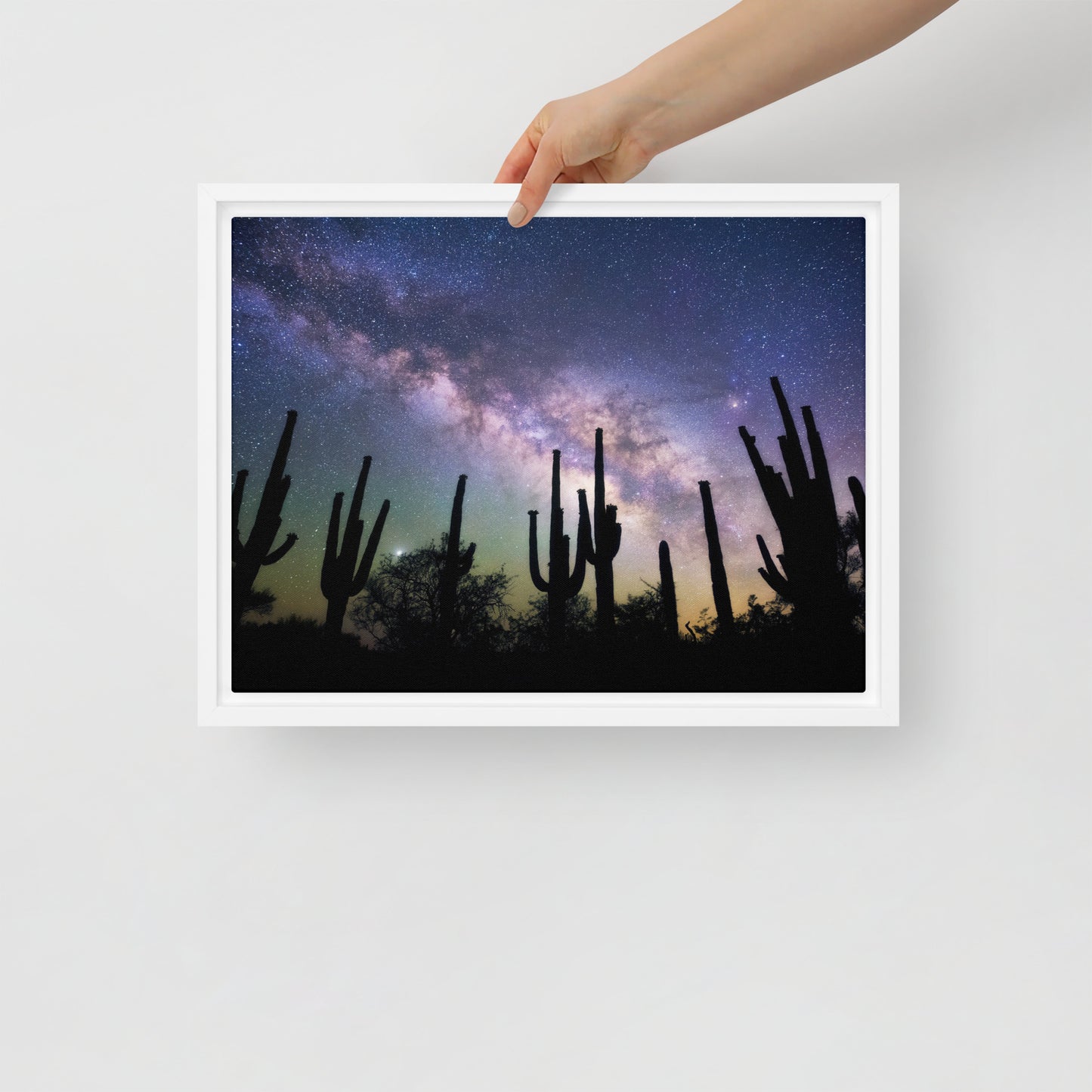 Saguaro Starlight by Sean Parker Photography | Framed canvas