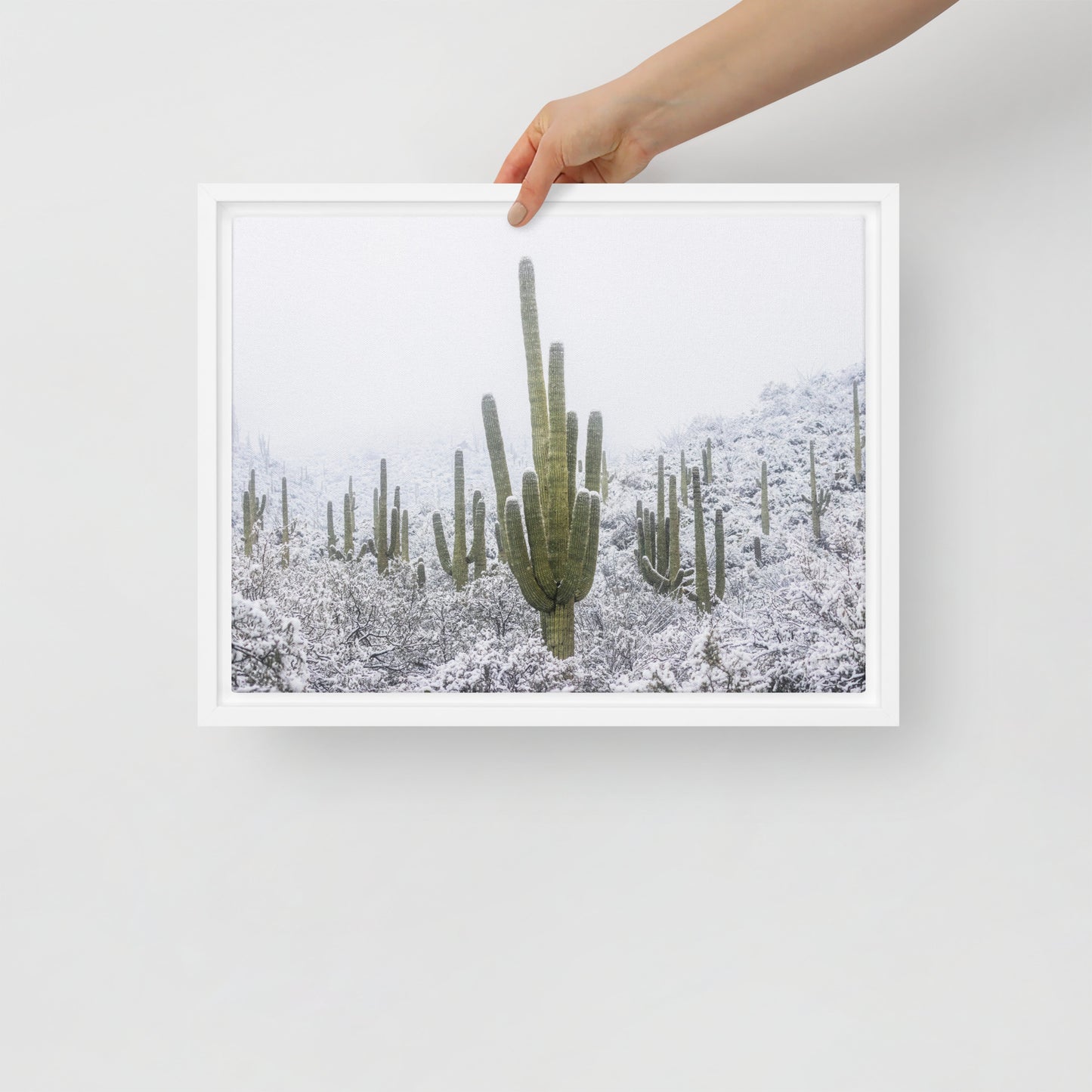 Saguaro Snowfall by Sean Parker Photography | Framed canvas