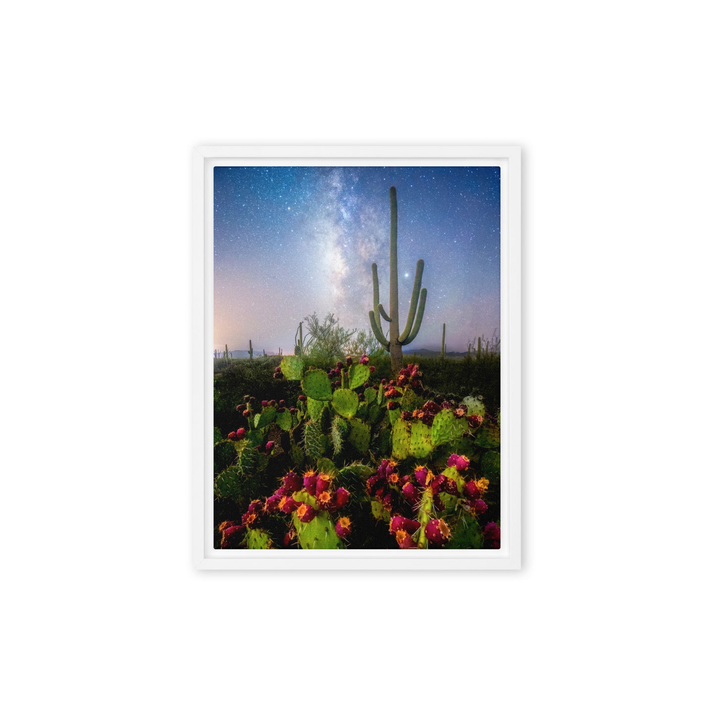 Milky Way Prickly Pear by Sean Parker Photography | Framed canvas