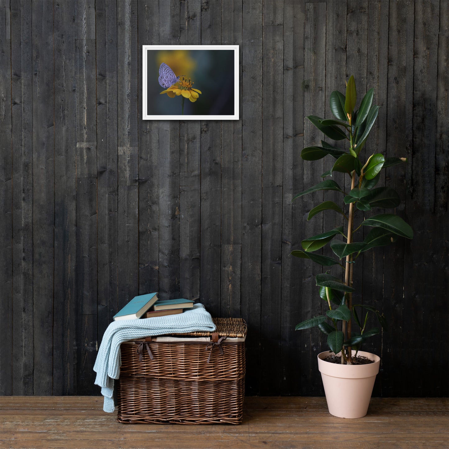 Marine Blue Butterfly by Leslie Leathers Photography | Framed canvas