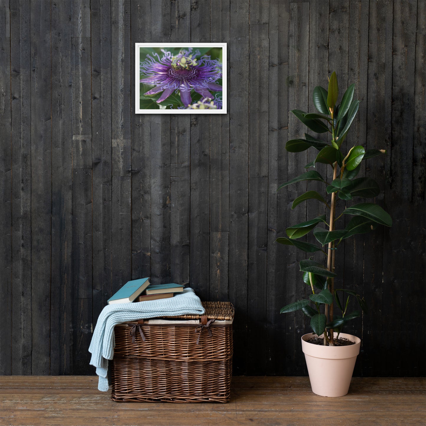 Purple Passion Flower by Leslie Leathers Photography | Framed canvas