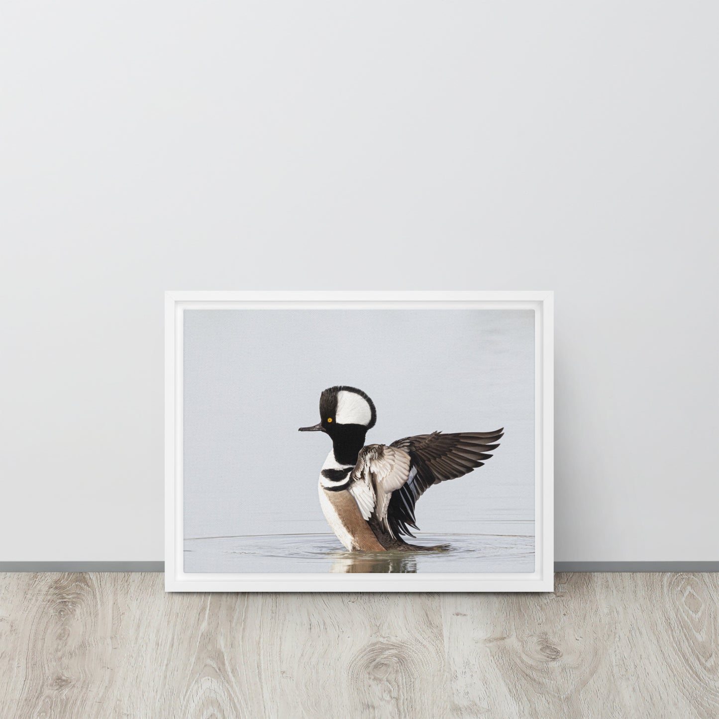 Hooded Merganser by Leslie Leathers Photography | Framed canvas