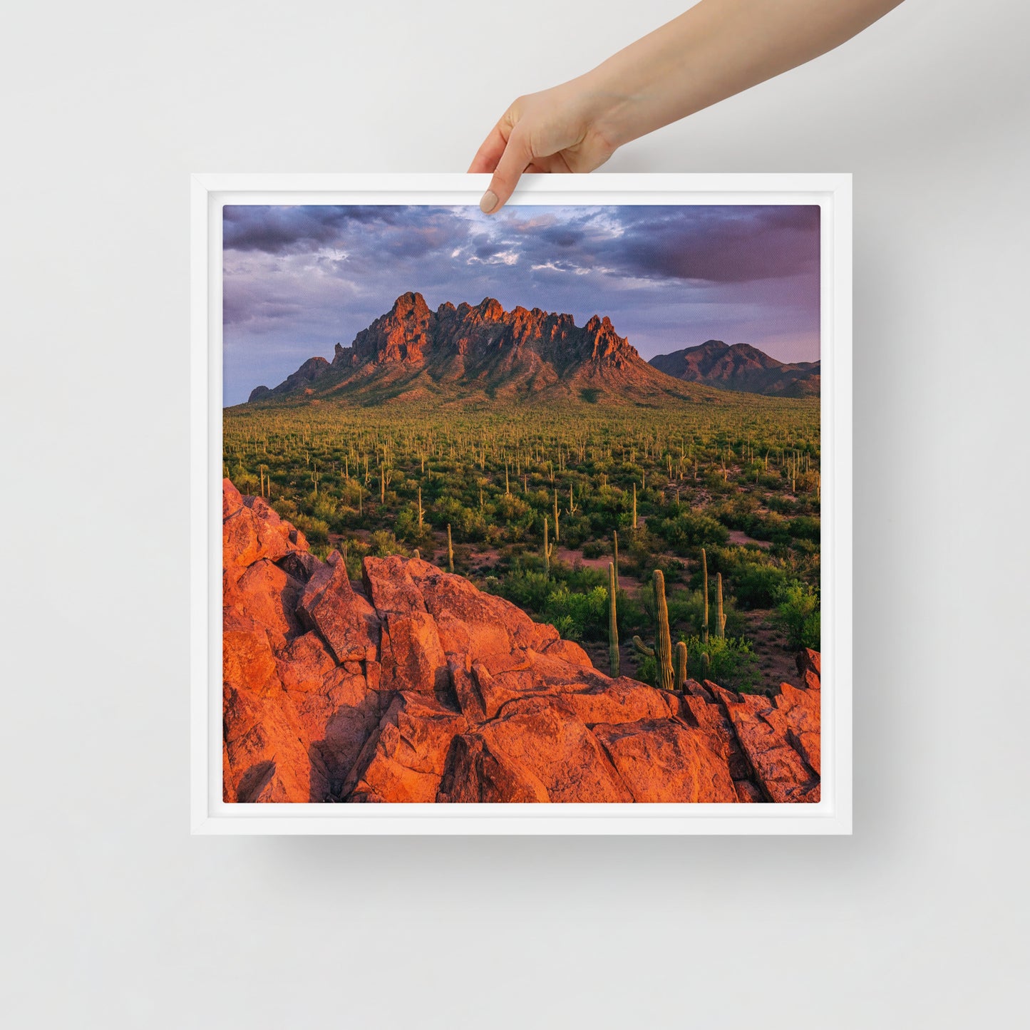 Ironwood National Monument by Sean Parker Photography | Framed canvas