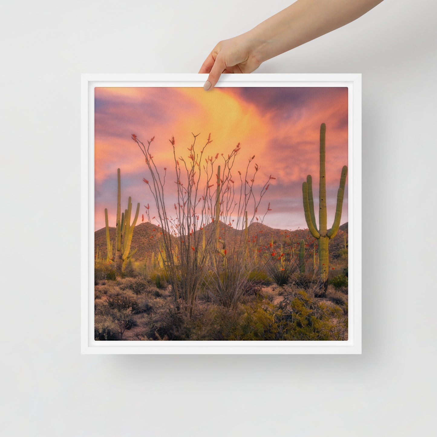 Tucson Mountain Park Sunset by Sean Parker Photography | Framed canvas