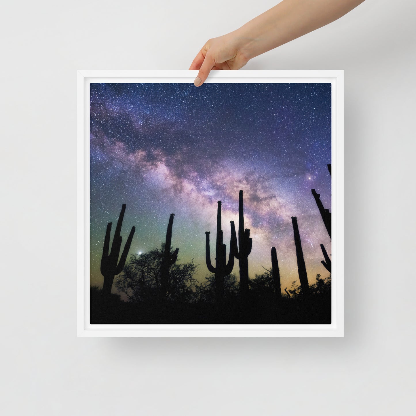 Saguaro Starlight by Sean Parker Photography | Framed canvas