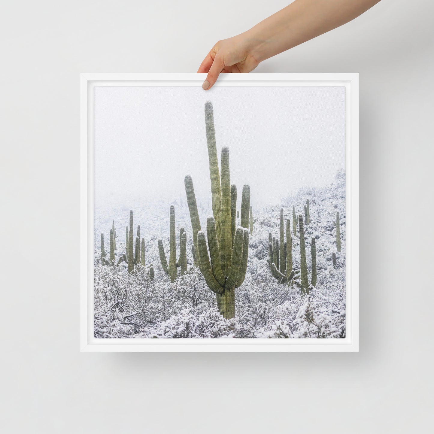 Saguaro Snowfall by Sean Parker Photography | Framed canvas