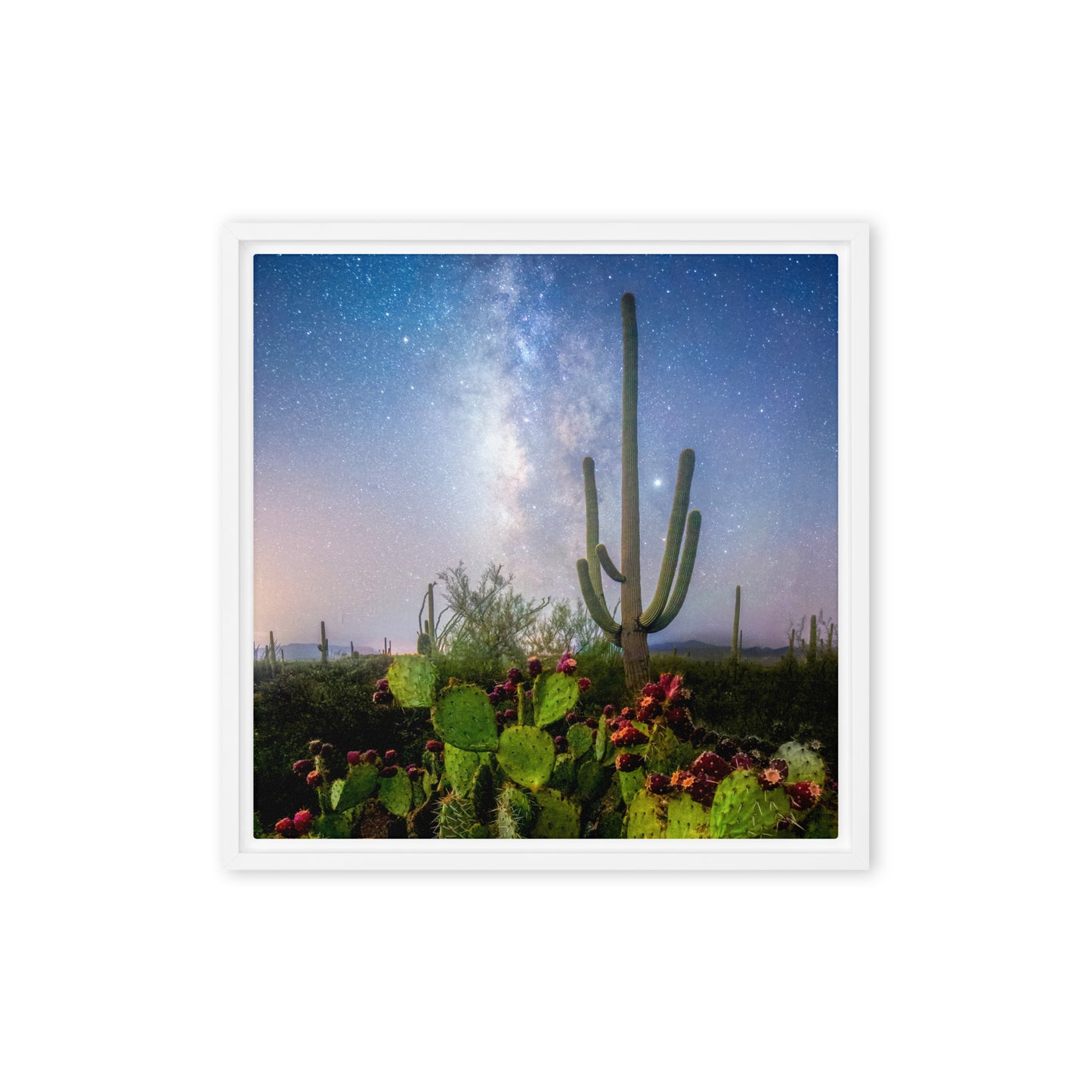 Milky Way Prickly Pear by Sean Parker Photography | Framed canvas