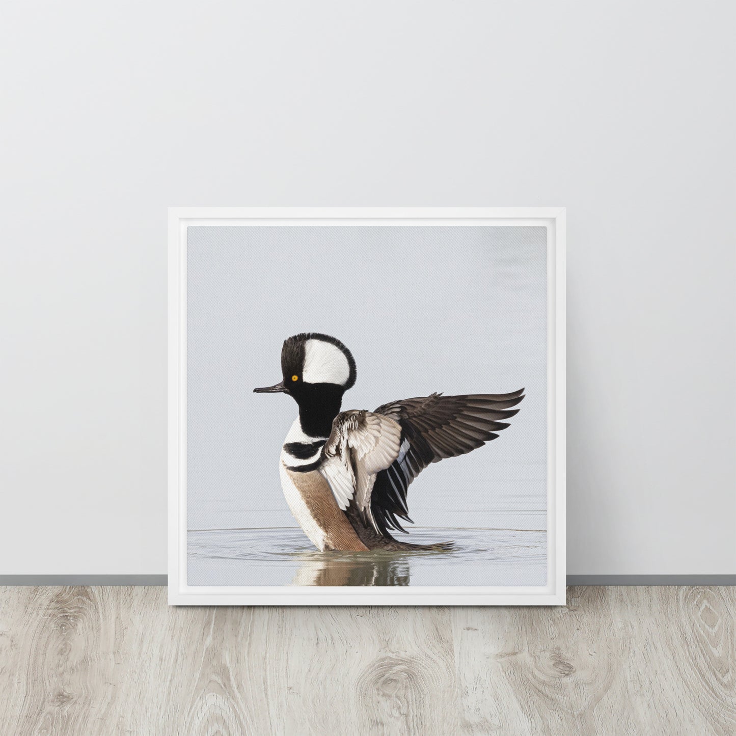 Hooded Merganser by Leslie Leathers Photography | Framed canvas